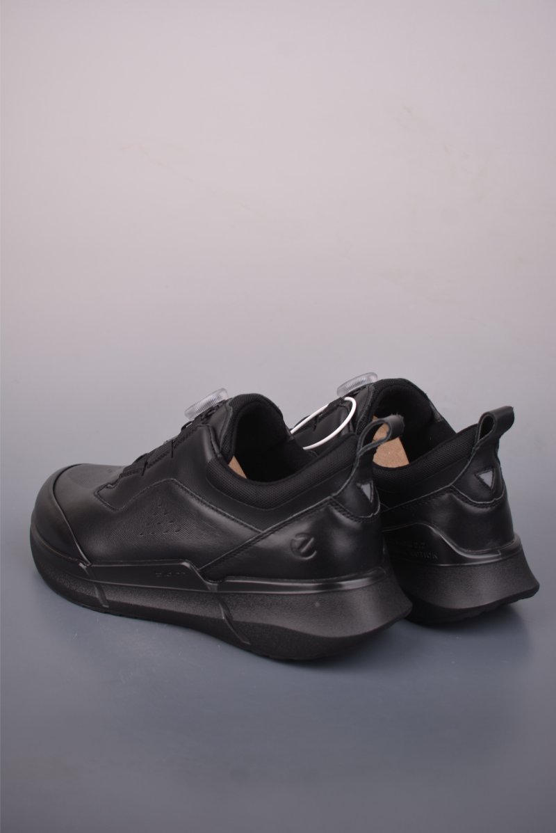 Ecco Biom 2.0 view