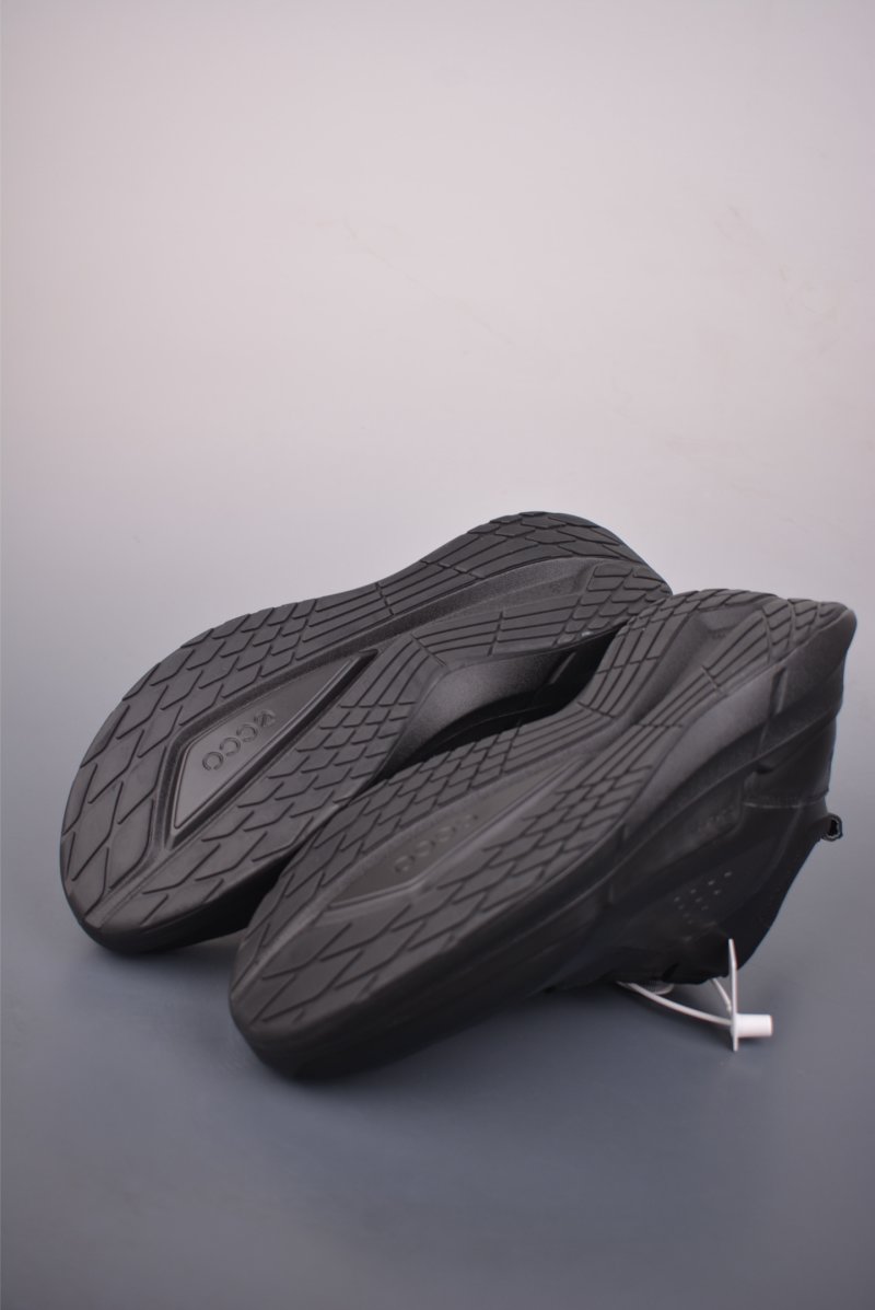 Ecco Biom 2.0 view
