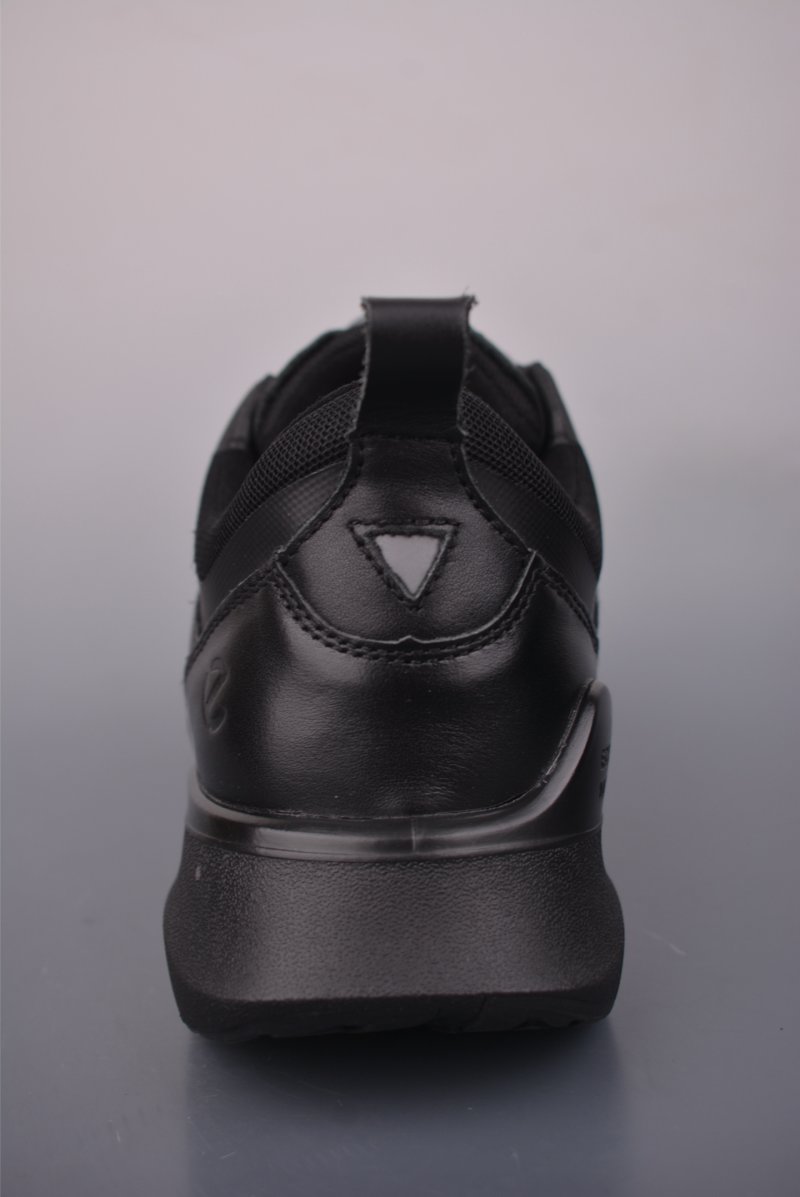 Ecco Biom 2.0 view