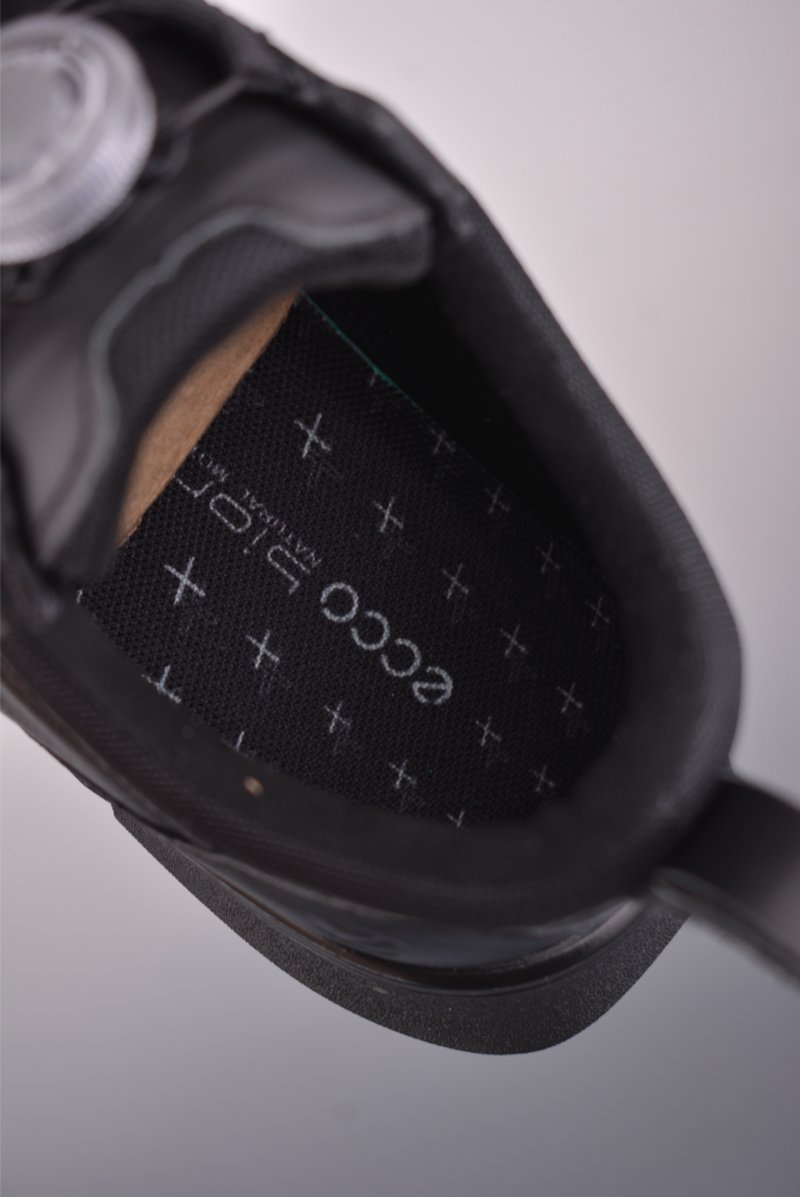 Ecco Biom 2.0 view