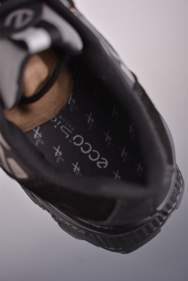 Ecco Biom 2.0 view