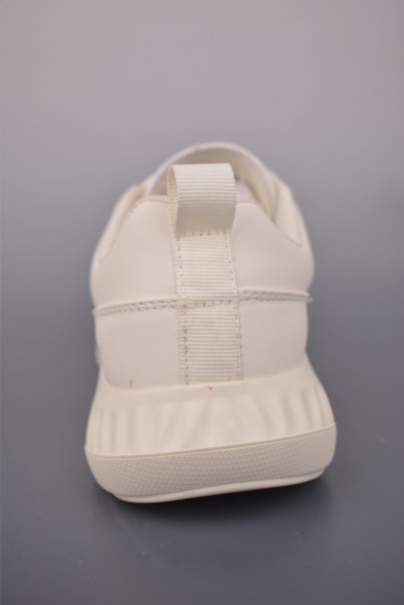 Ecco Biom 2.0 view