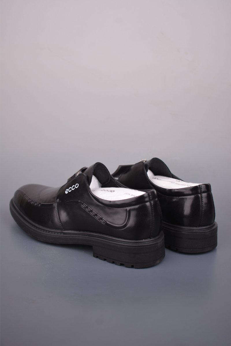 Ecco Biom 2.0 view
