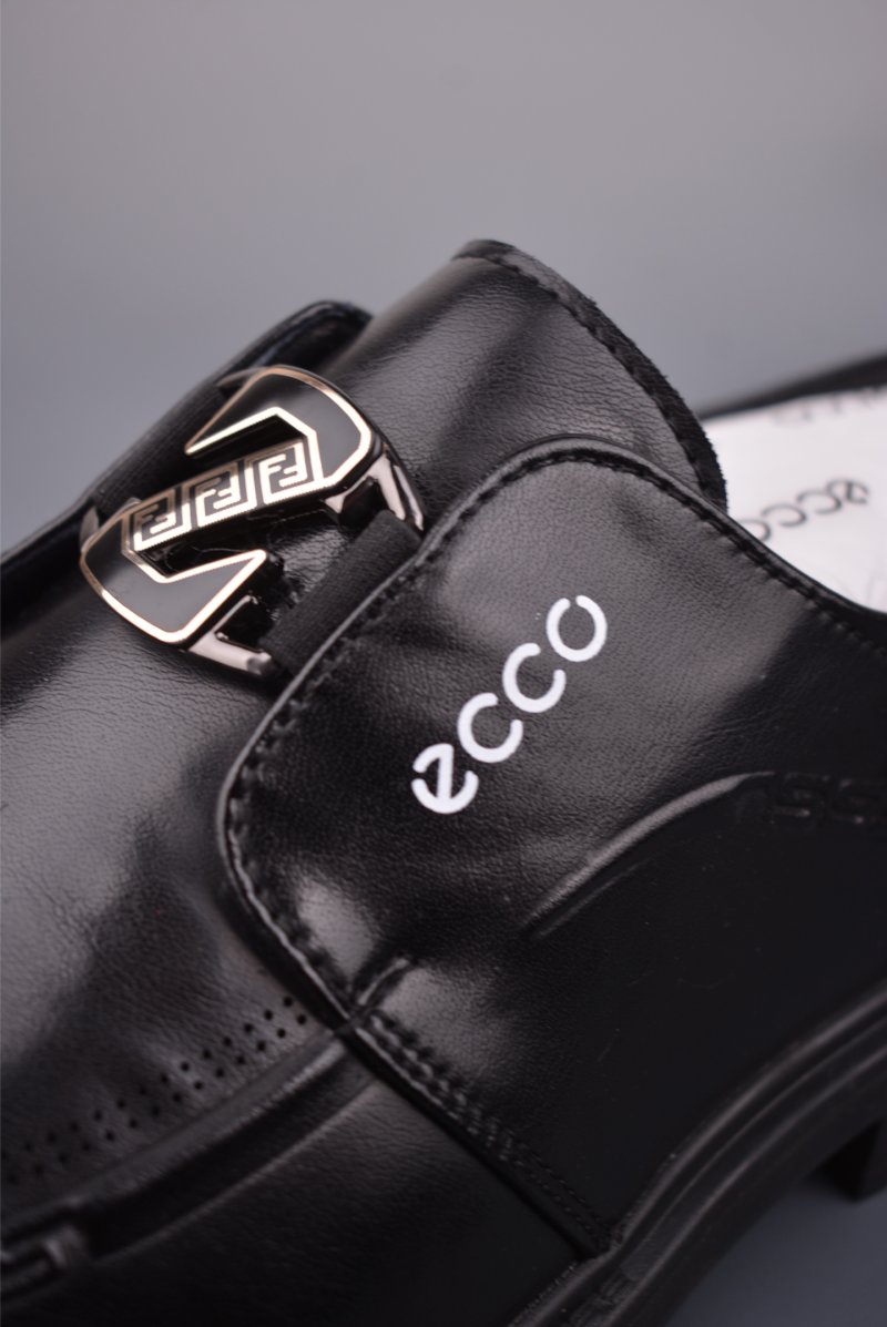 Ecco Biom 2.0 view