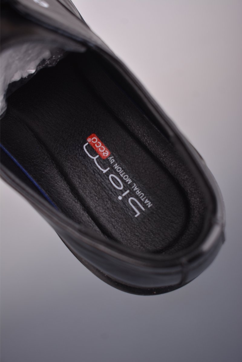 Ecco Biom 2.0 view