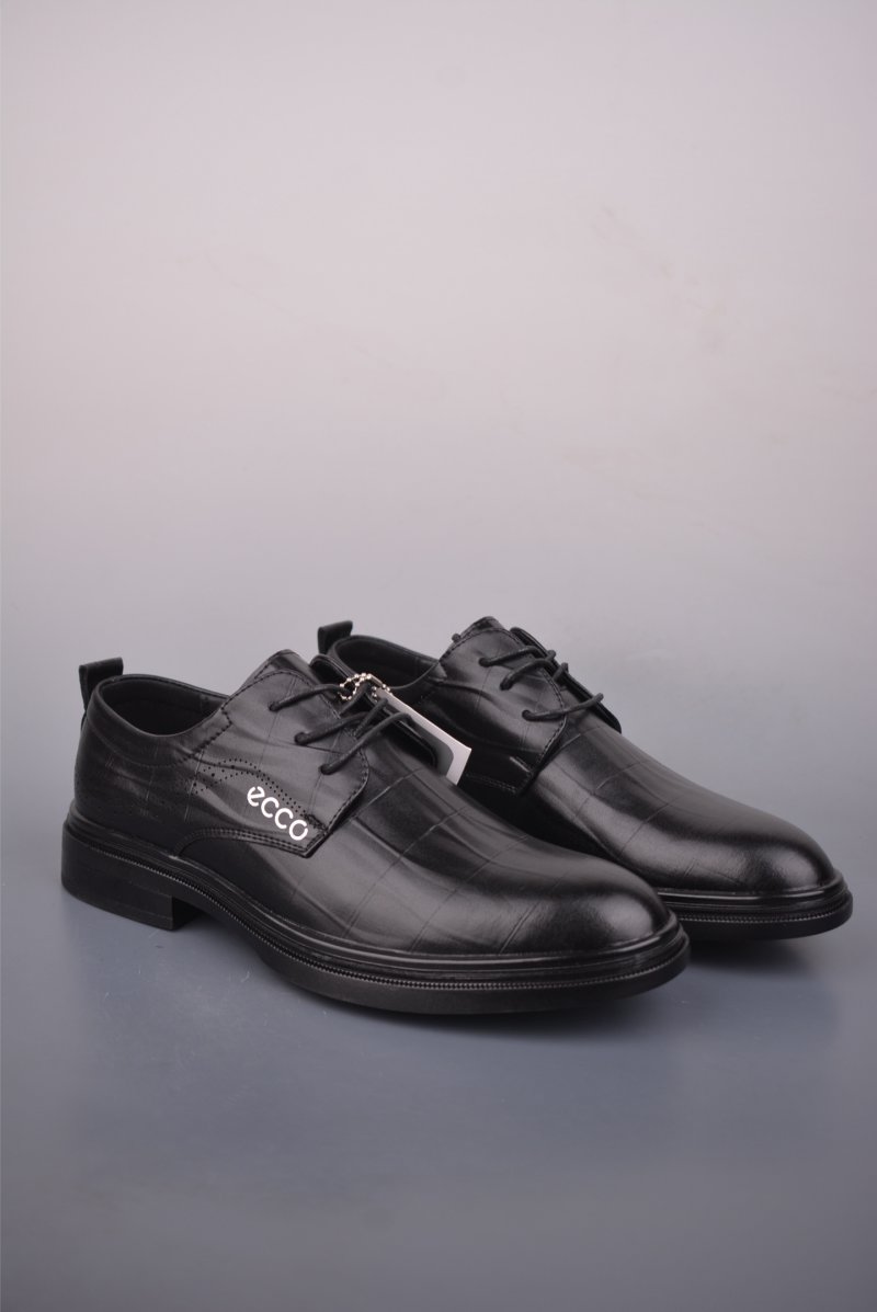 Ecco Biom 2.0 view