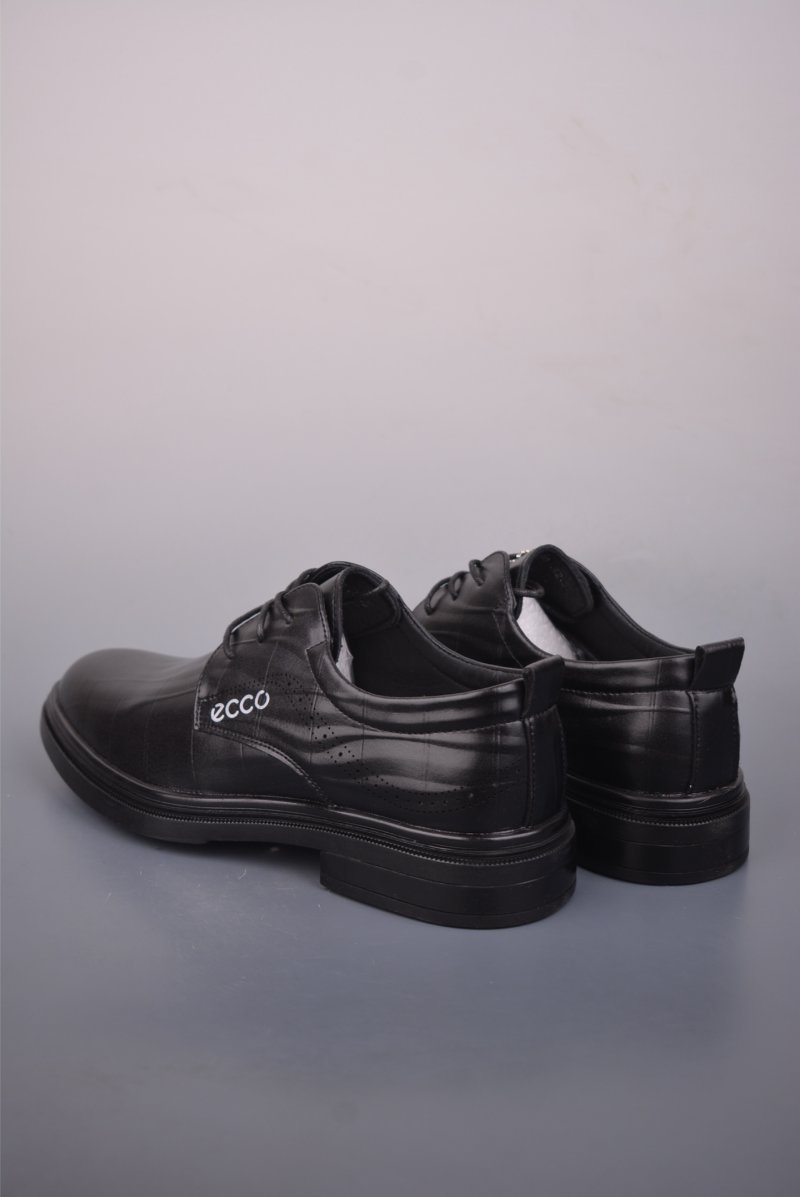 Ecco Biom 2.0 view