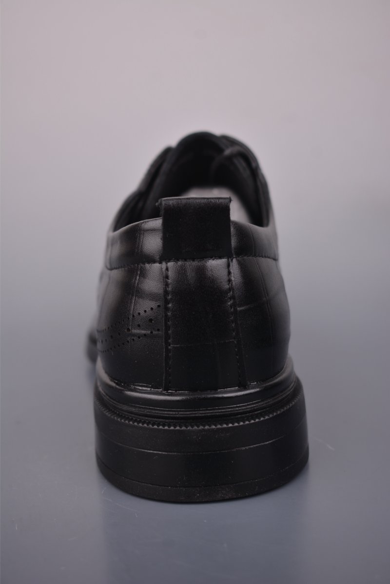 Ecco Biom 2.0 view