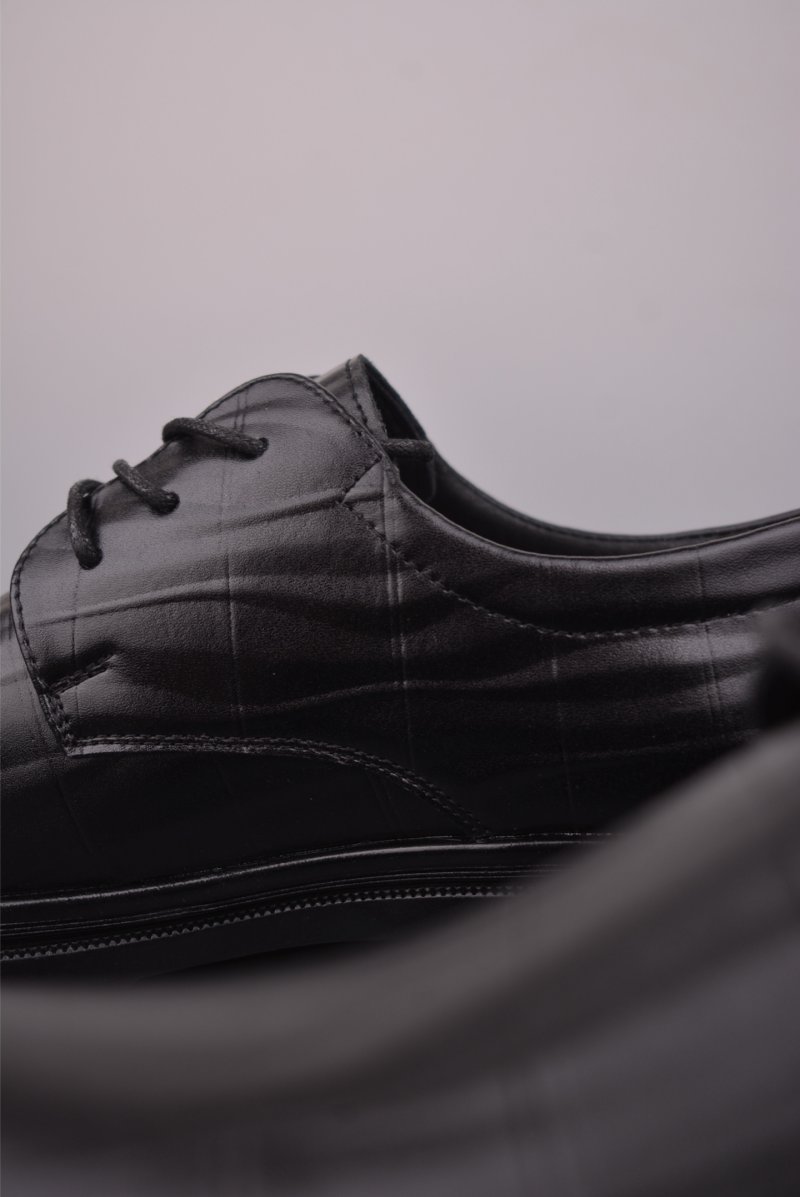 Ecco Biom 2.0 view