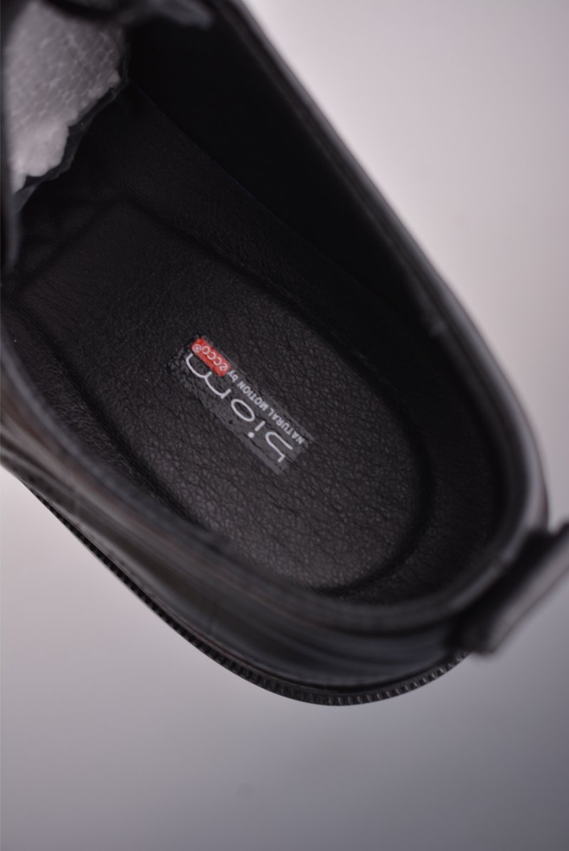 Ecco Biom 2.0 view
