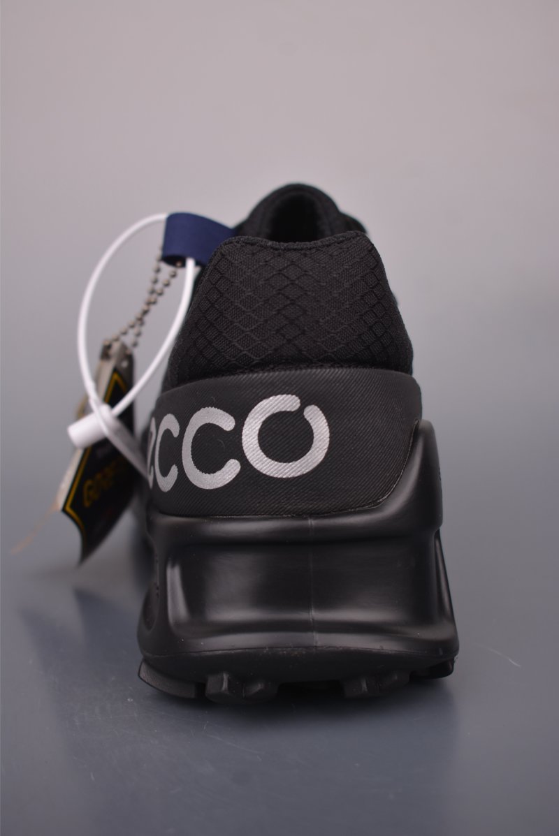 Ecco Biom 2.1 Gore-Tex view