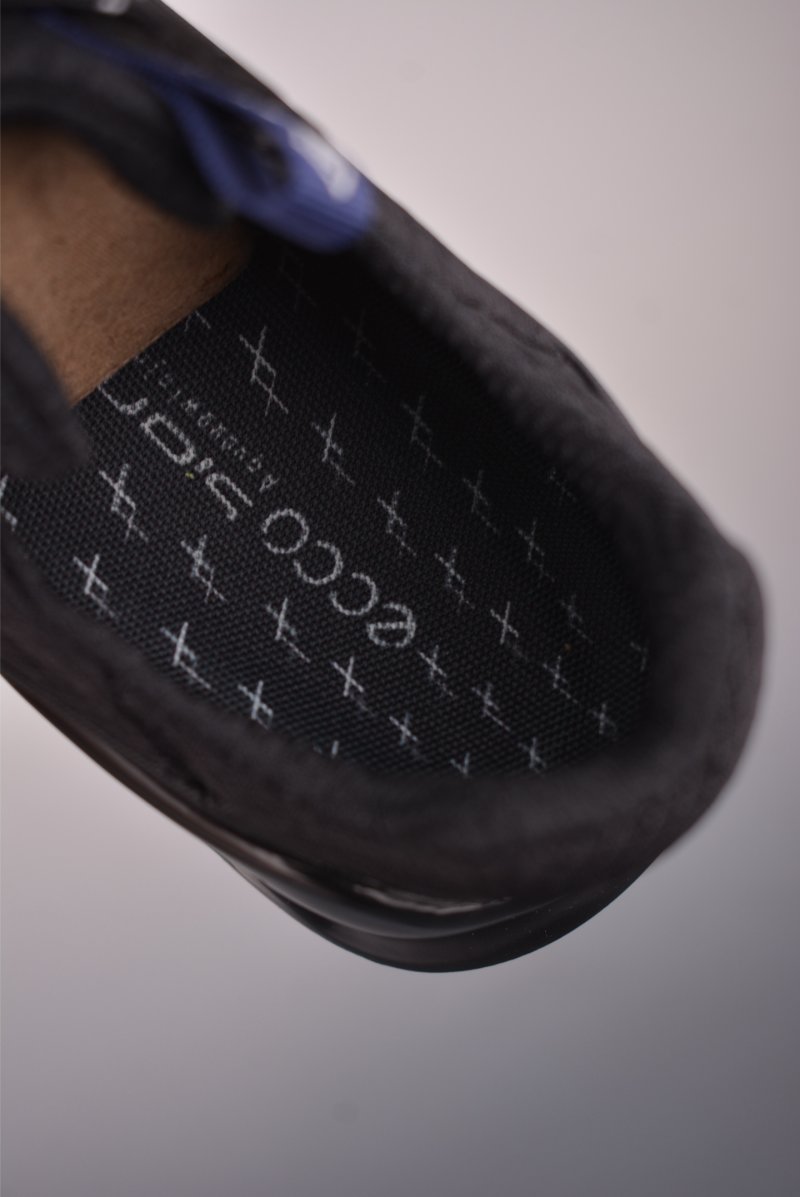 Ecco Biom 2.1 Gore-Tex view