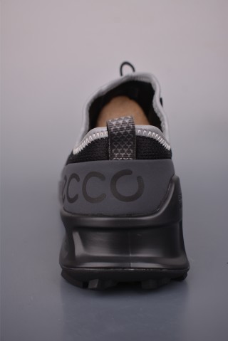 Ecco Biom 2.1 Phorene view 4