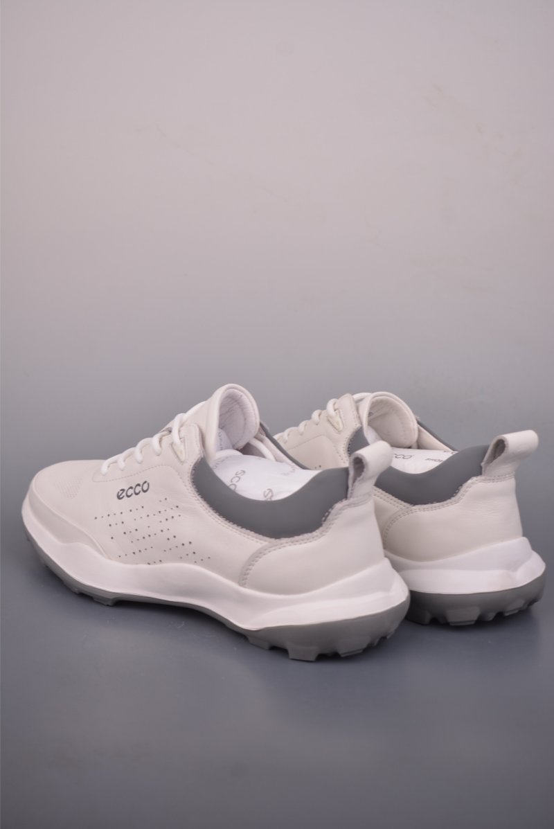 Ecco Biomc view