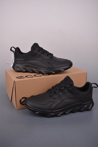 Ecco Biomc view 5