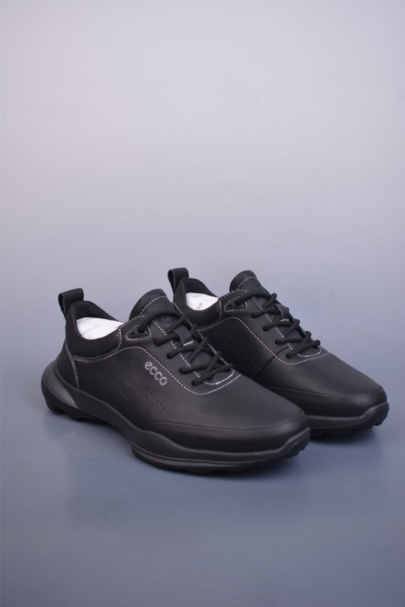 Ecco Biomc