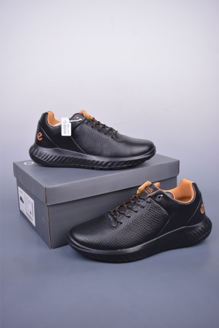 Ecco Biomc view 5