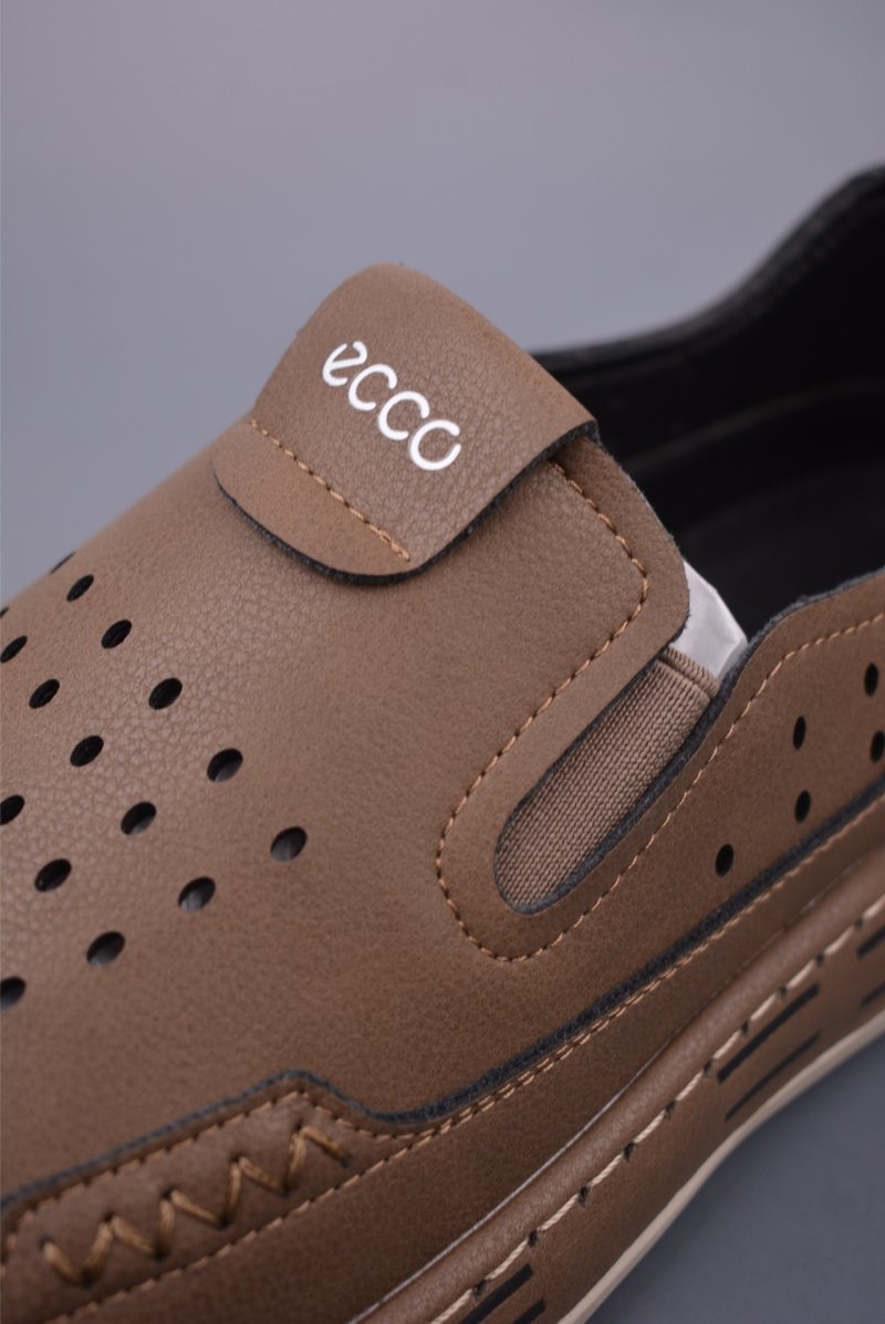 Ecco Biomc Biom view