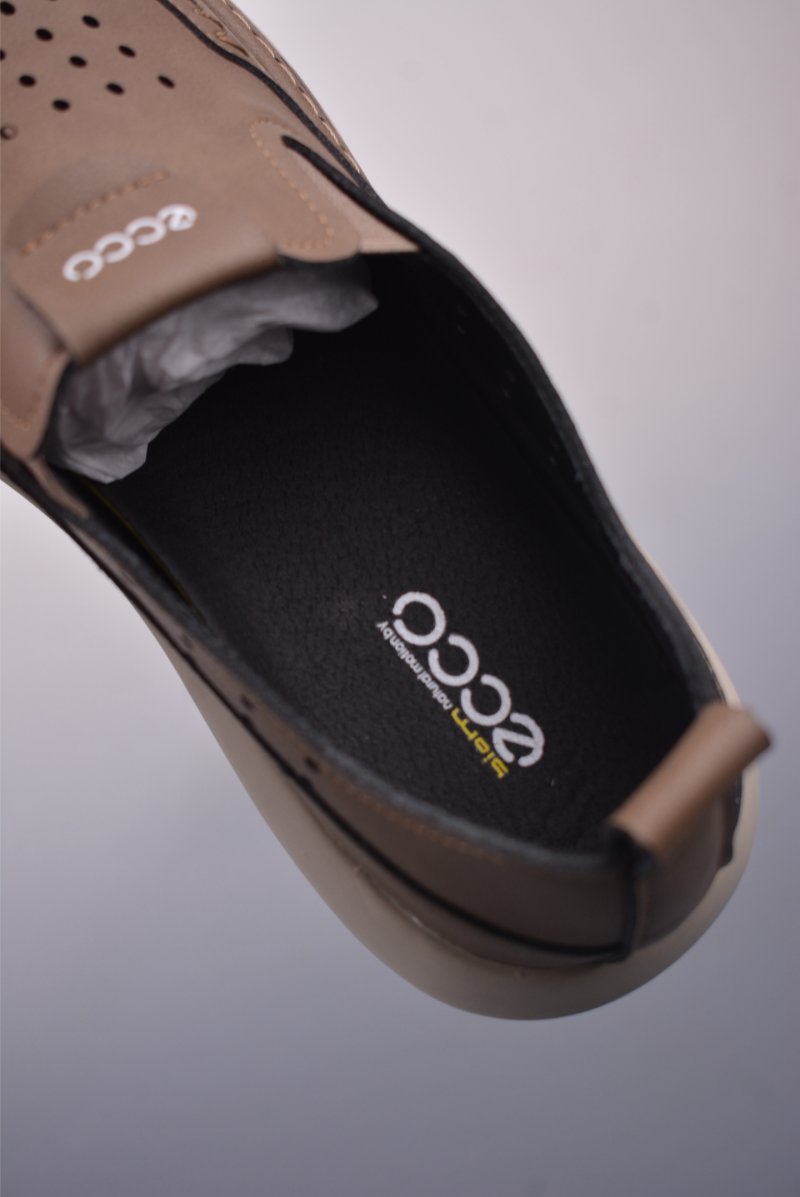 Ecco Biomc Biom view