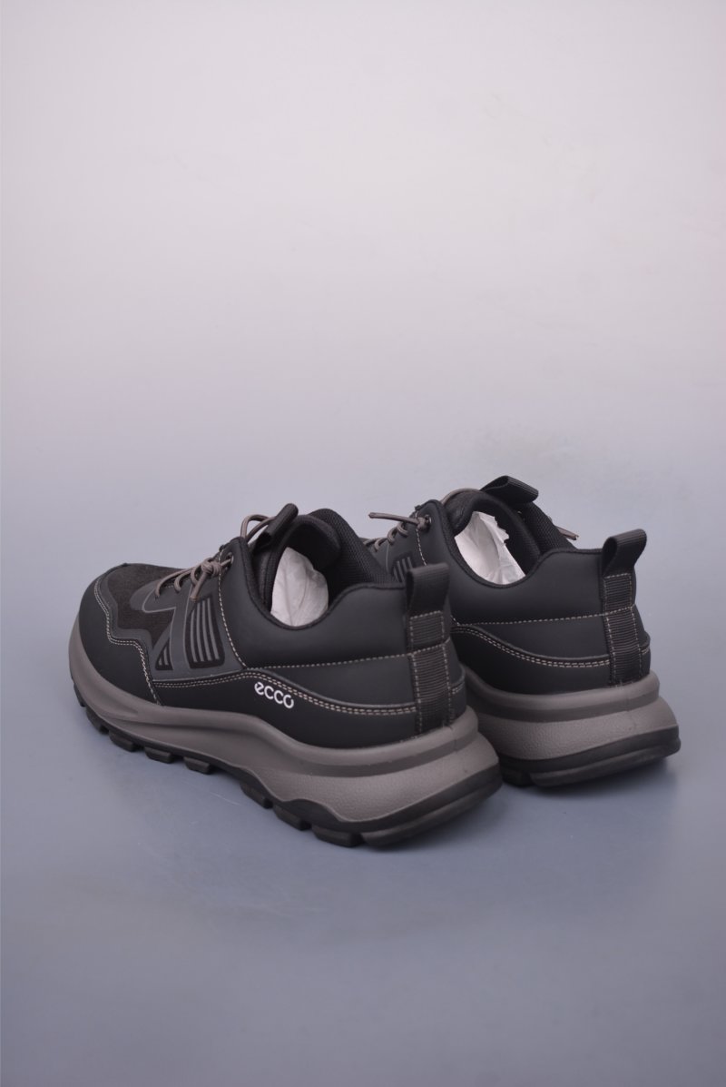 Ecco Biomc Biom view