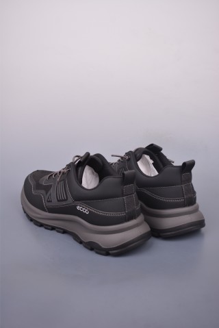Ecco Biomc Biom view 2