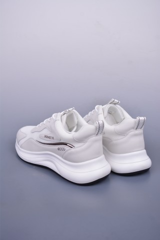 Ecco Biomc Biom view 2