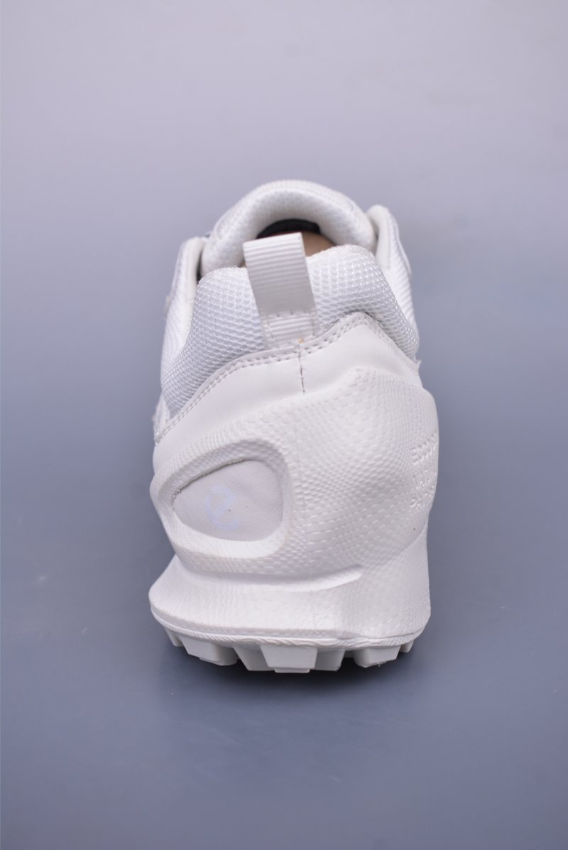 Ecco Biomc Biom view
