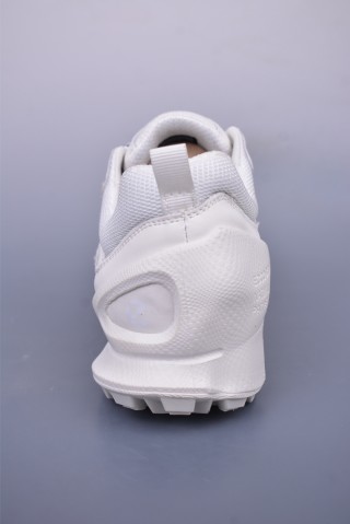 Ecco Biomc Biom view 4