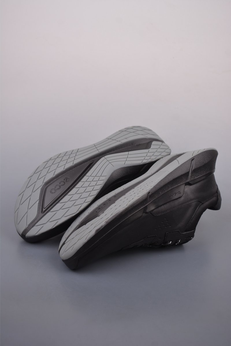 Ecco Biomc Biom view