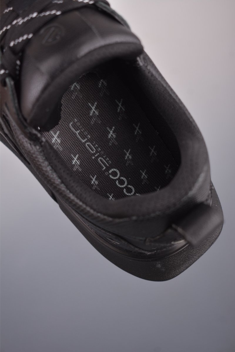 Ecco Biomc Biom view