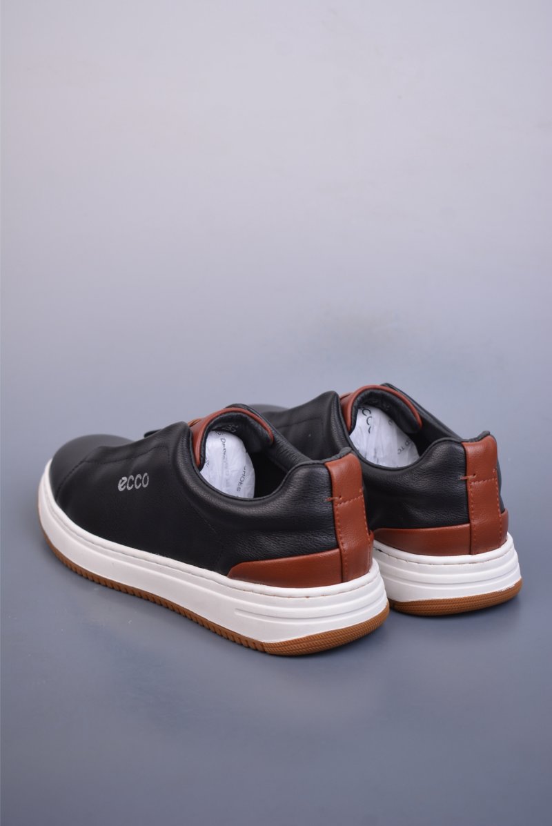 Ecco Biomc Biom view