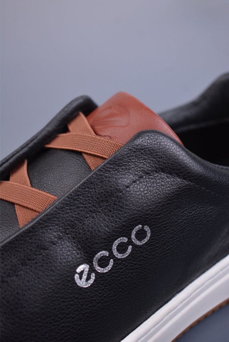 Ecco Biomc Biom view