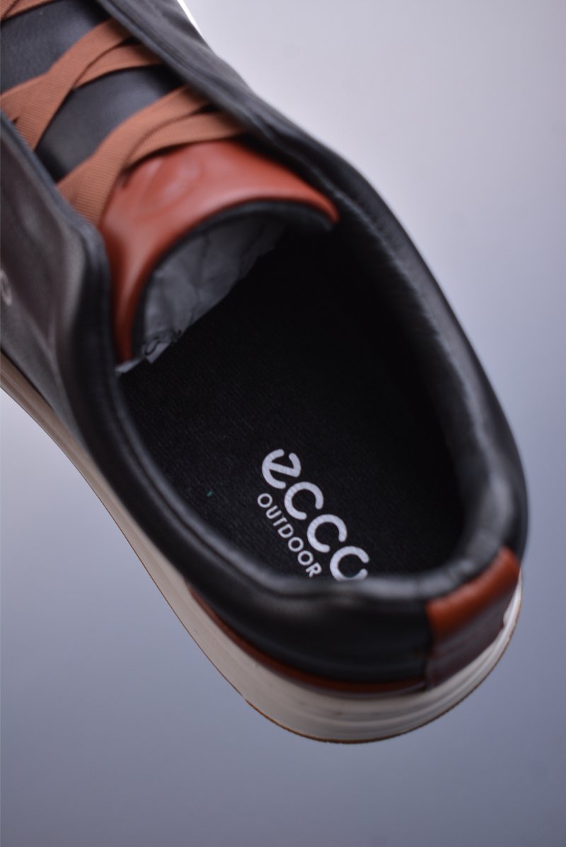 Ecco Biomc Biom view