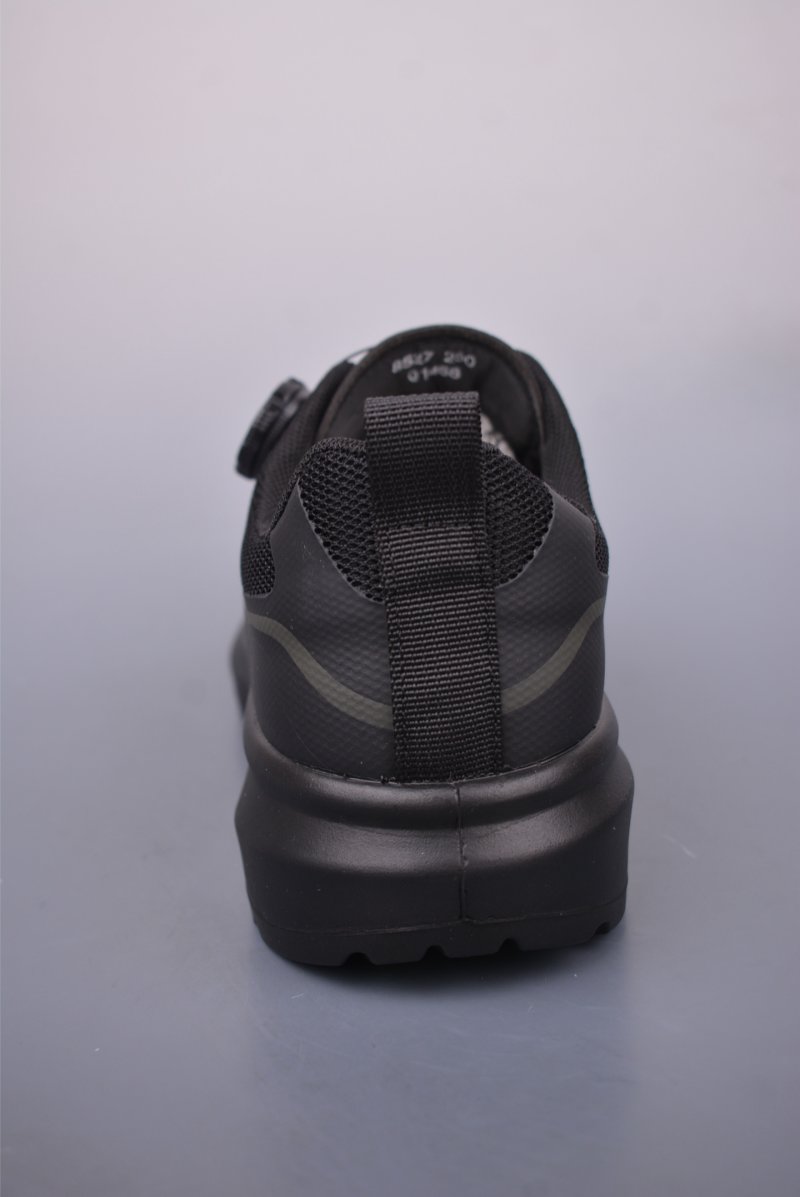 Ecco Biomc Biom view