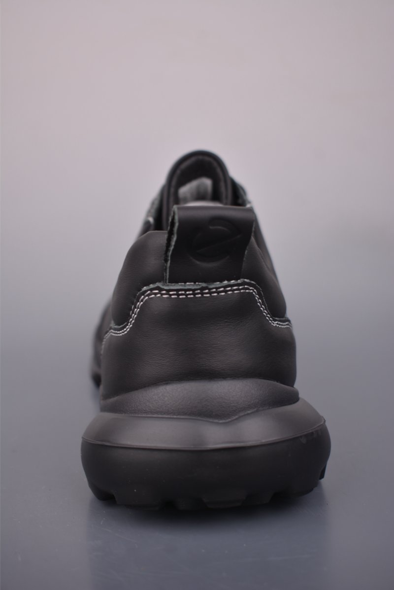 Ecco Health Walk E-DTS view