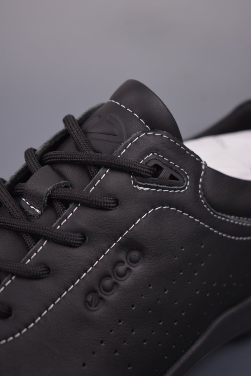 Ecco Health Walk E-DTS view