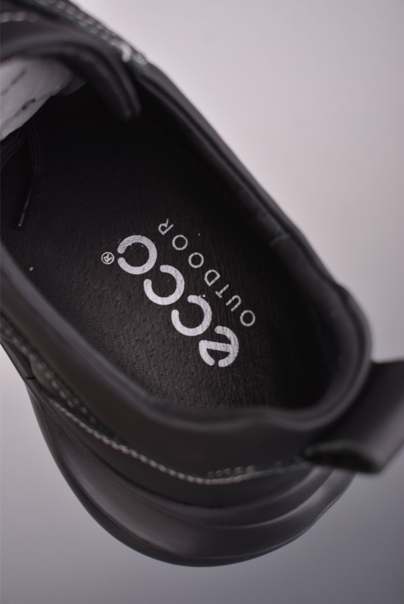 Ecco Health Walk E-DTS view