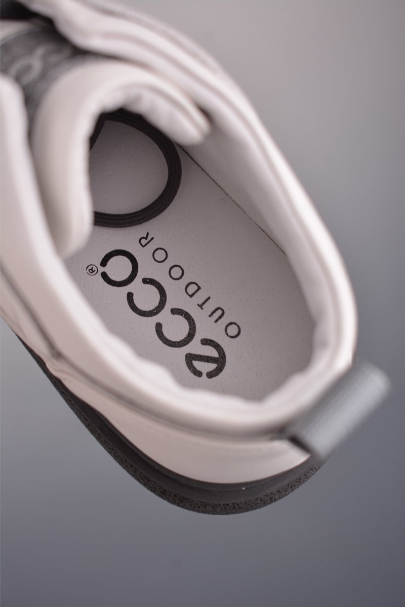 Ecco Logo view