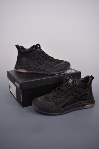 Ecco MX view 12