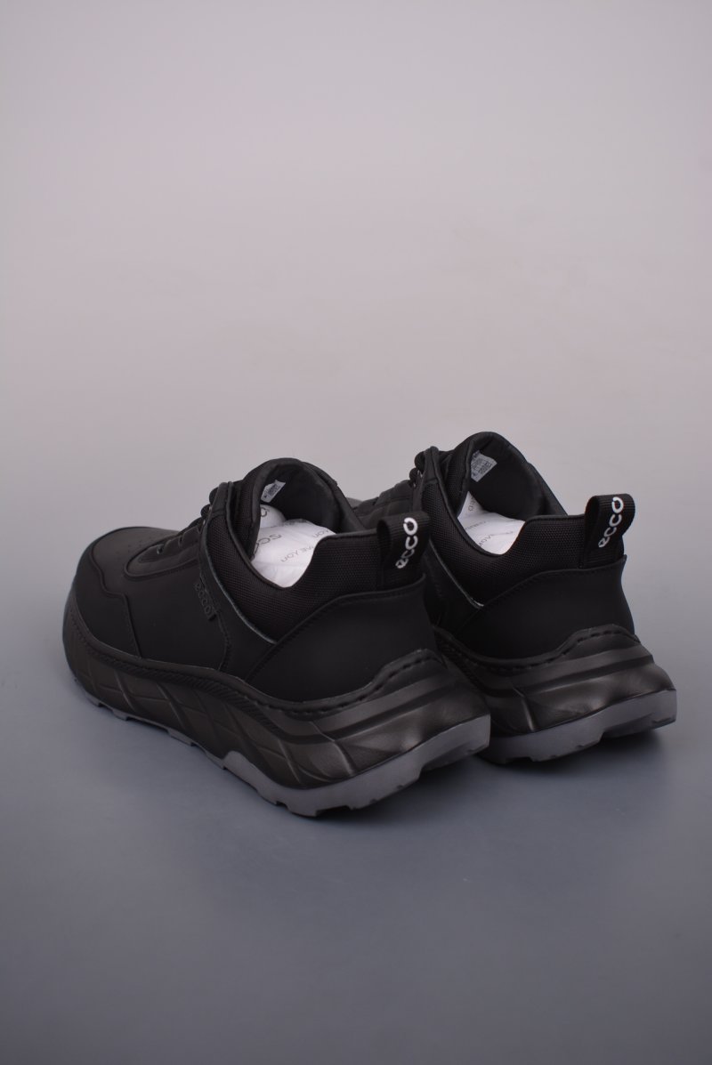 Ecco Pu Ab view