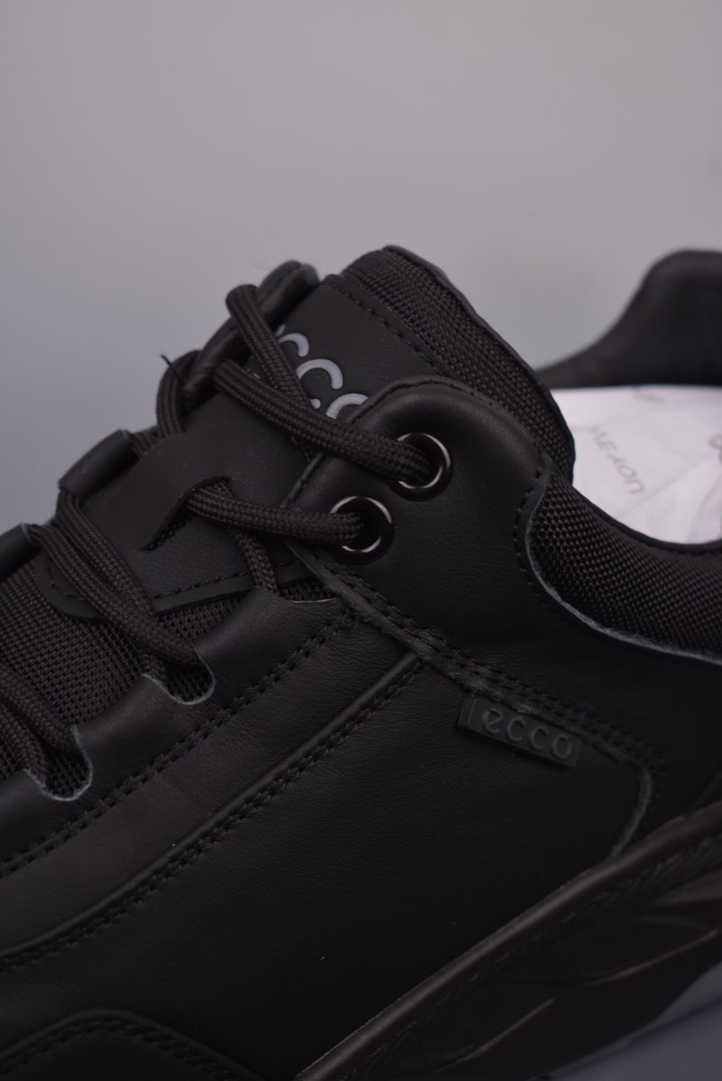 Ecco Pu Ab view