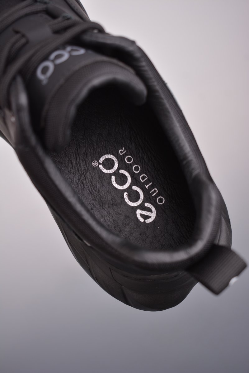 Ecco Pu Ab view