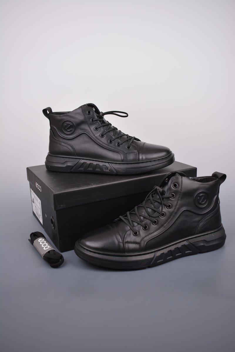 Ecco Pu Ab view