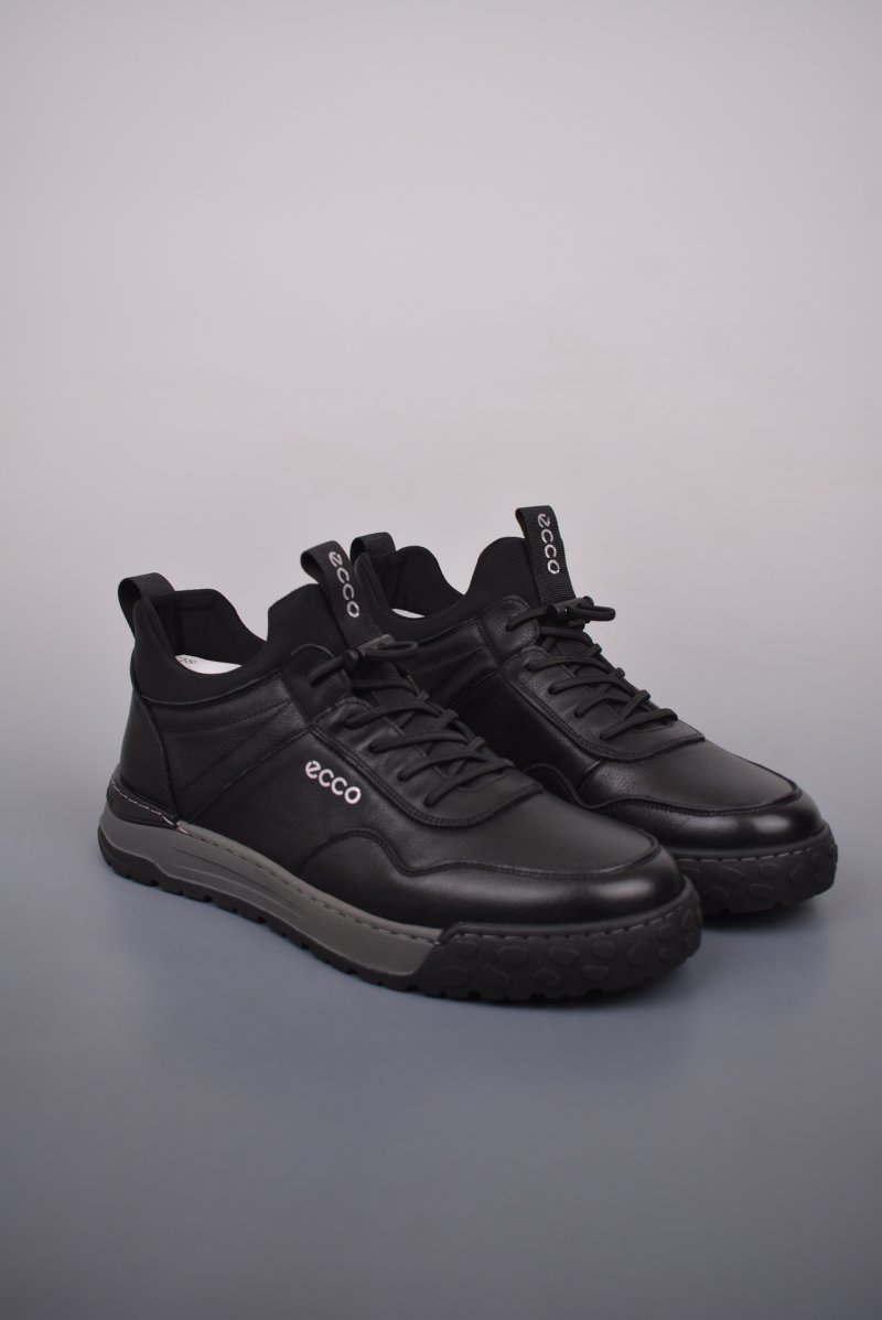 Ecco Pu Ab view
