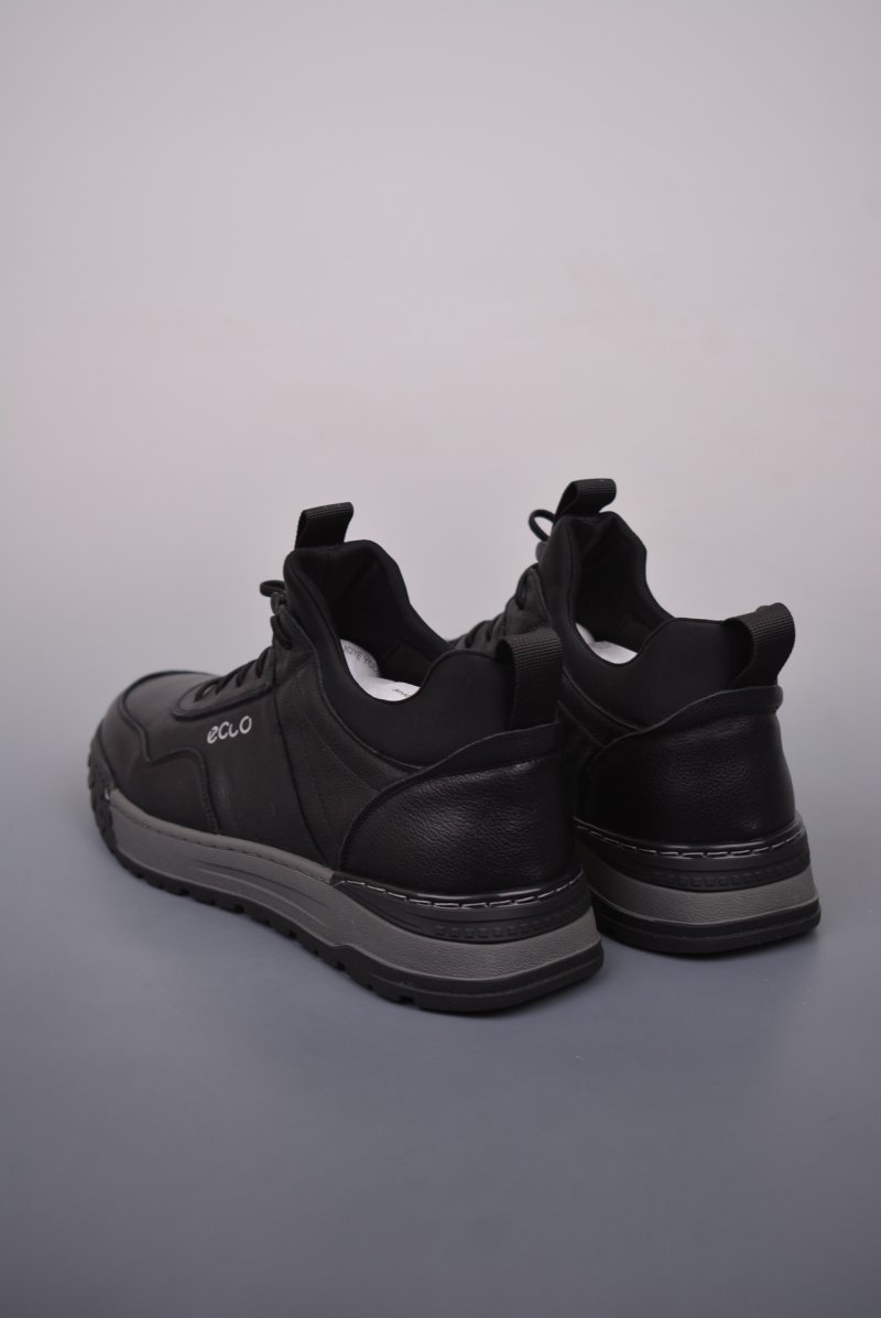Ecco Pu Ab view