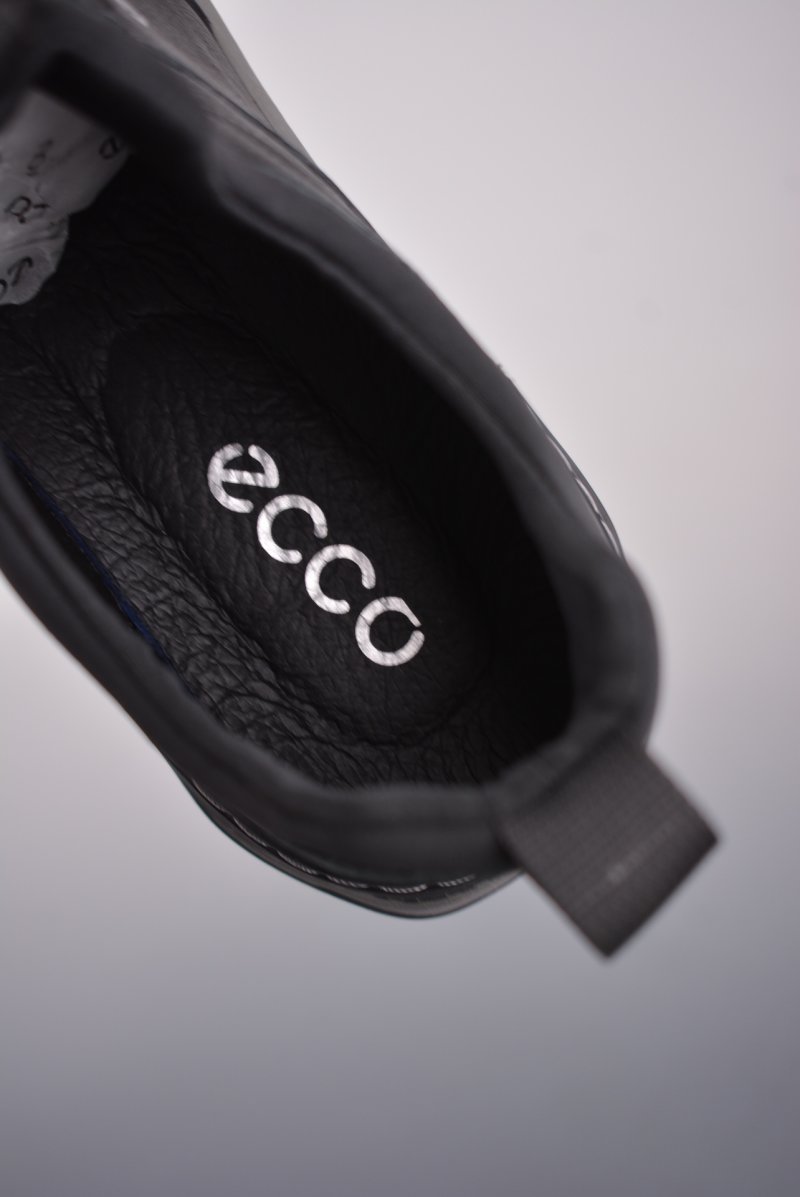 Ecco Pu Ab view