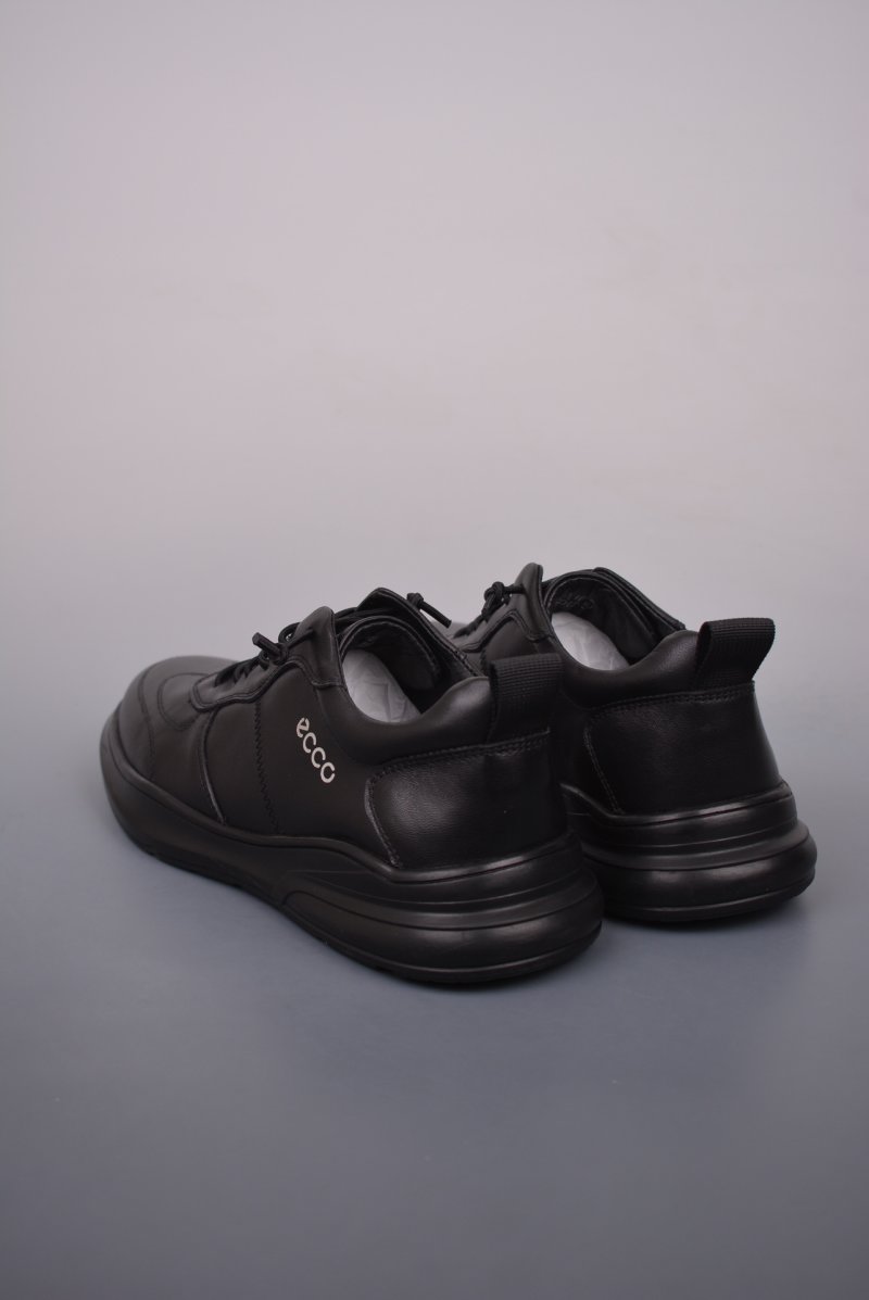 Ecco Pu Qt view