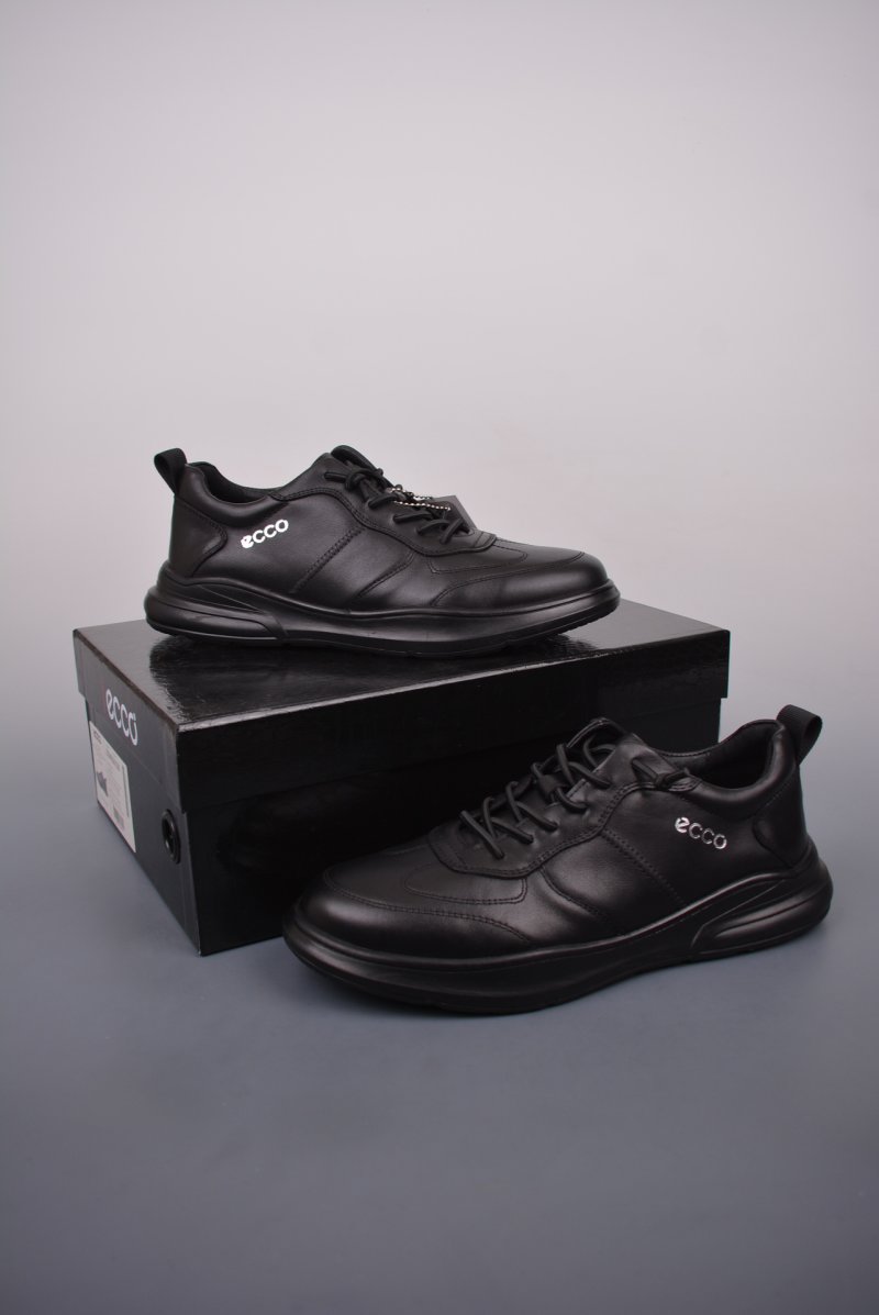 Ecco Pu Qt view