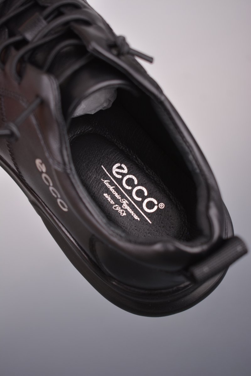 Ecco Pu Qt view