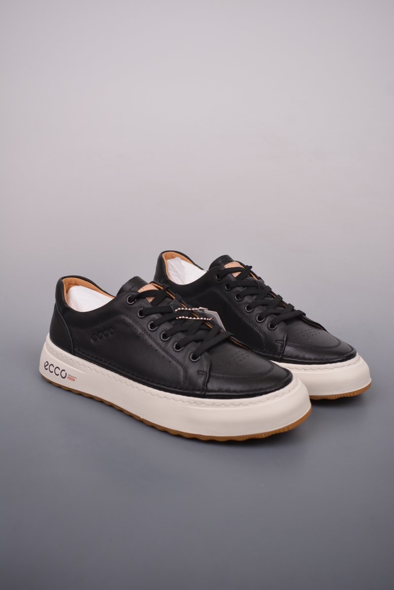Ecco Pu Qt view